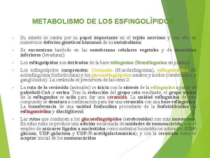 METABOLISMO DE LOS ESFINGOLÍPIDOS • Su interés se centra por su papel importante en