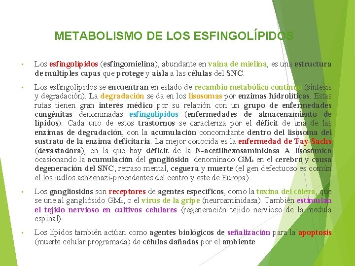 METABOLISMO DE LOS ESFINGOLÍPIDOS • Los esfingolípidos (esfingomielina), abundante en vaina de mielina, es