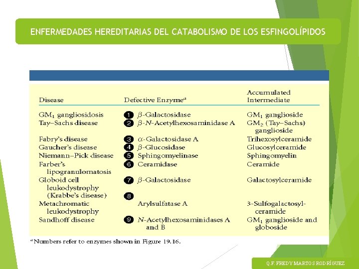 ENFERMEDADES HEREDITARIAS DEL CATABOLISMO DE LOS ESFINGOLÍPIDOS Q. F. FREDY MARTOS RODRÍGUEZ 