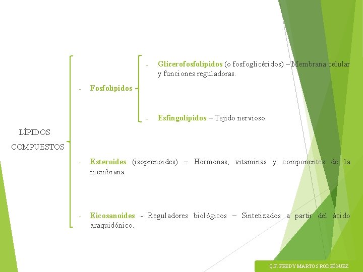 - - Glicerofosfolípidos (o fosfoglicéridos) – Membrana celular y funciones reguladoras. - Esfingolípidos –