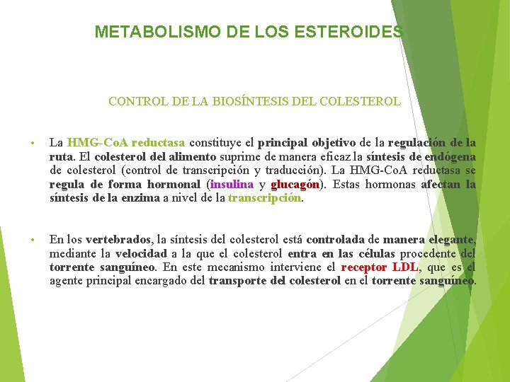 METABOLISMO DE LOS ESTEROIDES CONTROL DE LA BIOSÍNTESIS DEL COLESTEROL • La HMG-Co. A