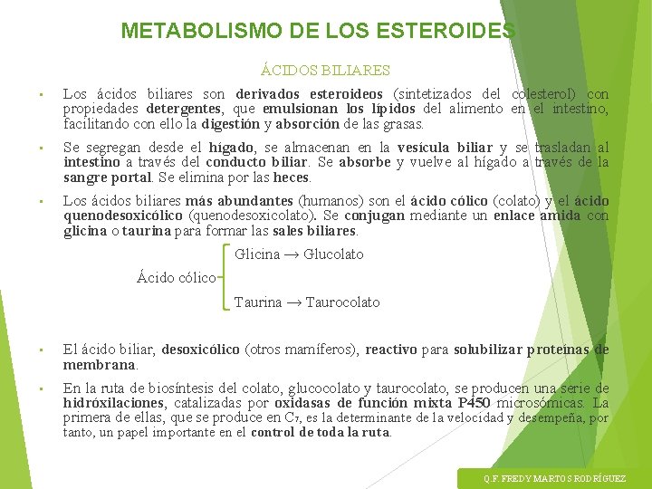 METABOLISMO DE LOS ESTEROIDES ÁCIDOS BILIARES • Los ácidos biliares son derivados esteroideos (sintetizados