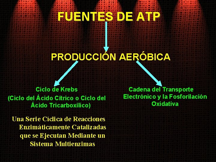 FUENTES DE ATP PRODUCCIÓN AERÓBICA Ciclo de Krebs (Ciclo del Ácido Cítrico o Ciclo