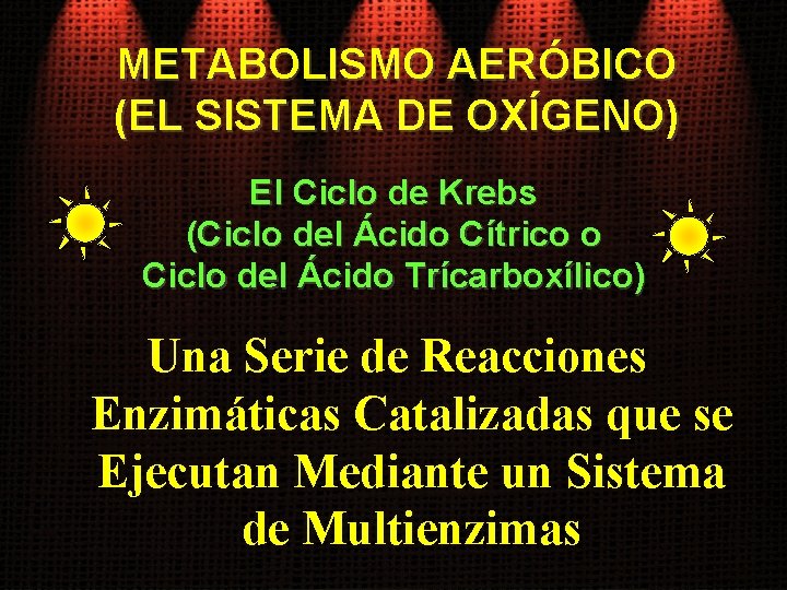 METABOLISMO AERÓBICO (EL SISTEMA DE OXÍGENO) El Ciclo de Krebs (Ciclo del Ácido Cítrico