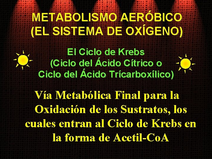 METABOLISMO AERÓBICO (EL SISTEMA DE OXÍGENO) El Ciclo de Krebs (Ciclo del Ácido Cítrico