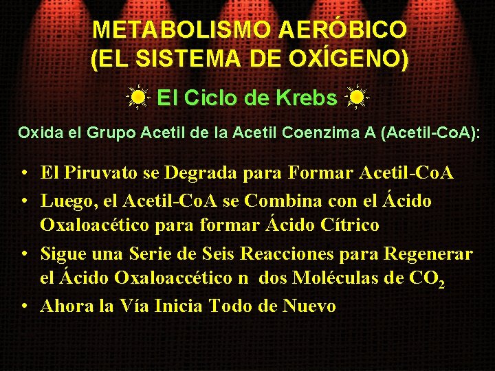 METABOLISMO AERÓBICO (EL SISTEMA DE OXÍGENO) El Ciclo de Krebs Oxida el Grupo Acetil