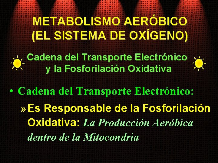 METABOLISMO AERÓBICO (EL SISTEMA DE OXÍGENO) Cadena del Transporte Electrónico y la Fosforilación Oxidativa