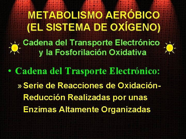 METABOLISMO AERÓBICO (EL SISTEMA DE OXÍGENO) Cadena del Transporte Electrónico y la Fosforilación Oxidativa