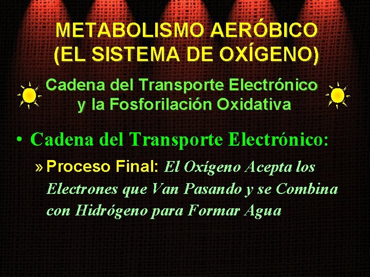 METABOLISMO AERÓBICO (EL SISTEMA DE OXÍGENO) Cadena del Transporte Electrónico y la Fosforilación Oxidativa