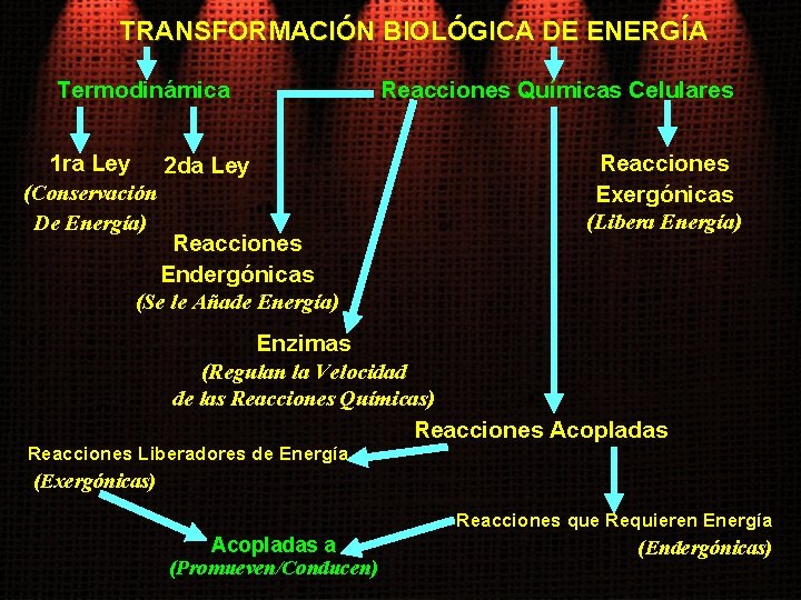 TRANSFORMACIÓN BIOLÓGICA DE ENERGÍA Termodinámica 1 ra Ley 2 da Ley (Conservación De Energía)