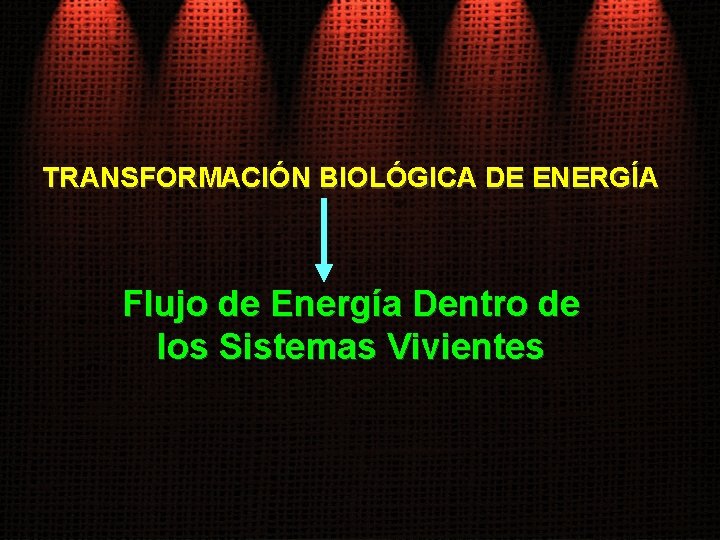 TRANSFORMACIÓN BIOLÓGICA DE ENERGÍA Flujo de Energía Dentro de los Sistemas Vivientes 