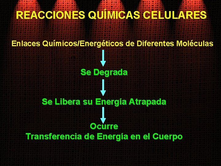 REACCIONES QUÍMICAS CELULARES Enlaces Químicos/Energéticos de Diferentes Moléculas Se Degrada Se Libera su Energía