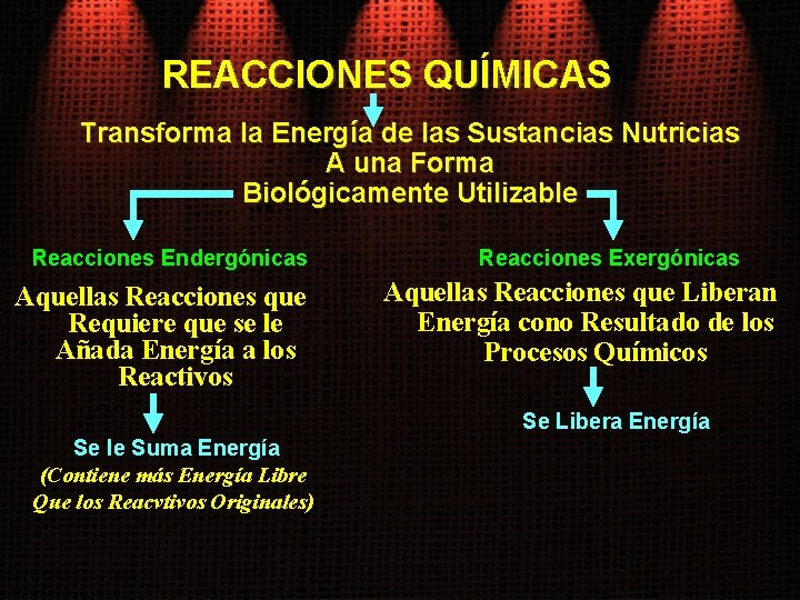 REACCIONES QUÍMICAS Transforma la Energía de las Sustancias Nutricias A una Forma Biológicamente Utilizable
