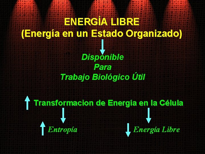 ENERGÍA LIBRE (Energía en un Estado Organizado) Disponible Para Trabajo Biológico Útil Transformacion de