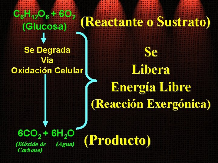 C 6 H 12 O 6 + 6 O 2 (Glucosa) (Reactante o Sustrato)