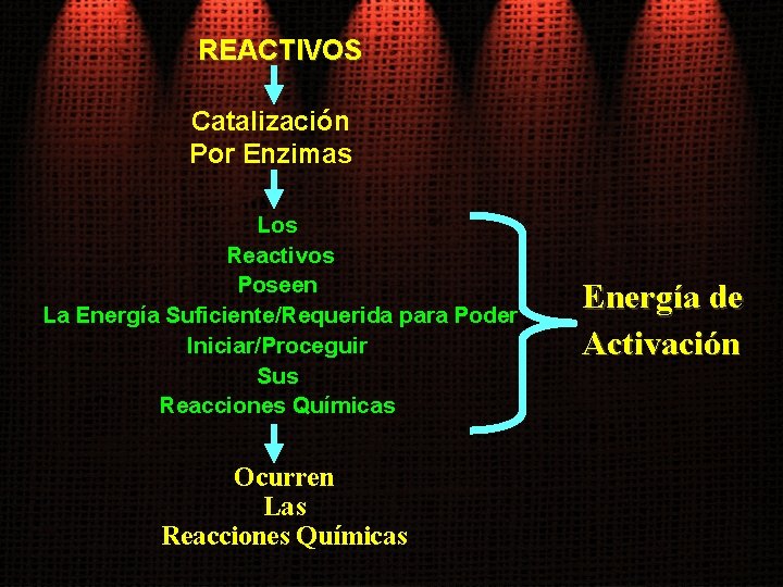 REACTIVOS Catalización Por Enzimas Los Reactivos Poseen La Energía Suficiente/Requerida para Poder Iniciar/Proceguir Sus
