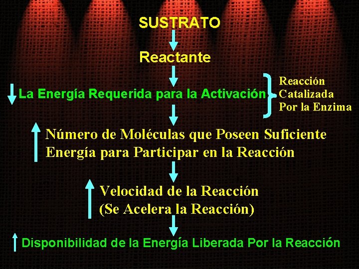 SUSTRATO Reactante La Energía Requerida para la Activación Reacción Catalizada Por la Enzima Número