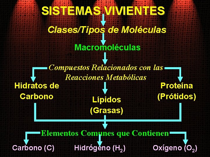 SISTEMAS VIVIENTES Clases/Tipos de Moléculas Macromoléculas Compuestos Relacionados con las Reacciones Metabólicas Hidratos de