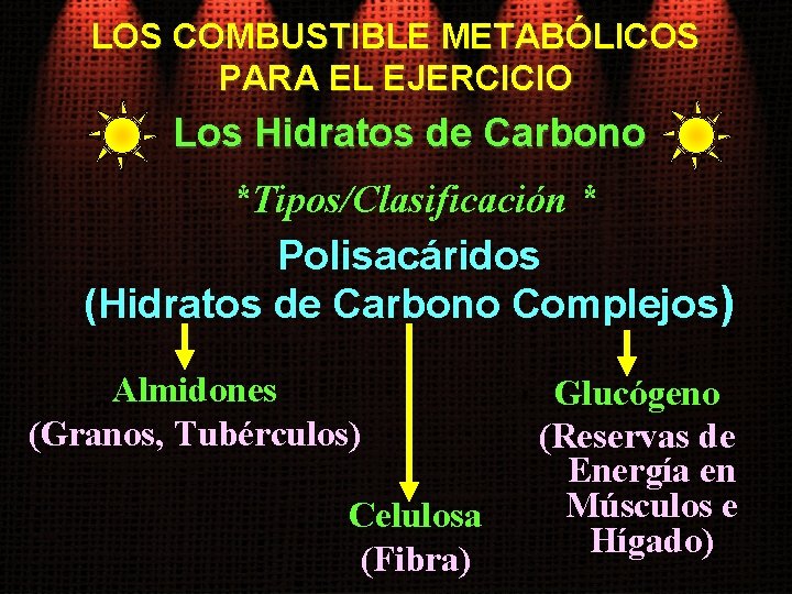 LOS COMBUSTIBLE METABÓLICOS PARA EL EJERCICIO Los Hidratos de Carbono *Tipos/Clasificación * Polisacáridos (Hidratos