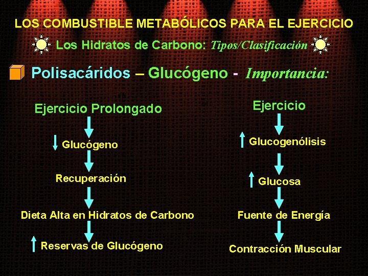 LOS COMBUSTIBLE METABÓLICOS PARA EL EJERCICIO Los Hidratos de Carbono: Tipos/Clasificación Polisacáridos – Glucógeno