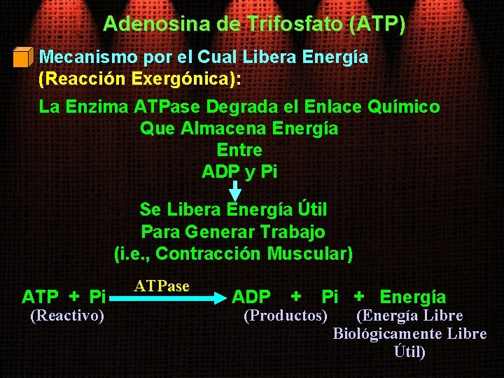 Adenosina de Trifosfato (ATP) Mecanismo por el Cual Libera Energía (Reacción Exergónica): La Enzima
