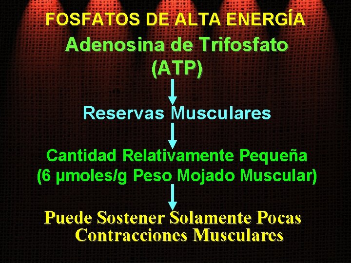 FOSFATOS DE ALTA ENERGÍA Adenosina de Trifosfato (ATP) Reservas Musculares Cantidad Relativamente Pequeña (6
