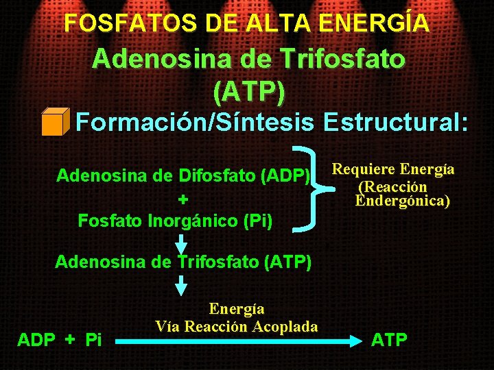 FOSFATOS DE ALTA ENERGÍA Adenosina de Trifosfato (ATP) Formación/Síntesis Estructural: Adenosina de Difosfato (ADP)