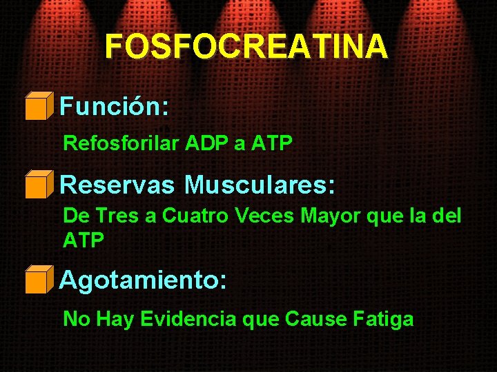 FOSFOCREATINA Función: Refosforilar ADP a ATP Reservas Musculares: De Tres a Cuatro Veces Mayor