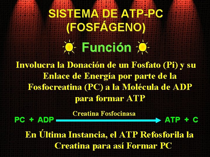 SISTEMA DE ATP-PC (FOSFÁGENO) Función Involucra la Donación de un Fosfato (Pi) y su