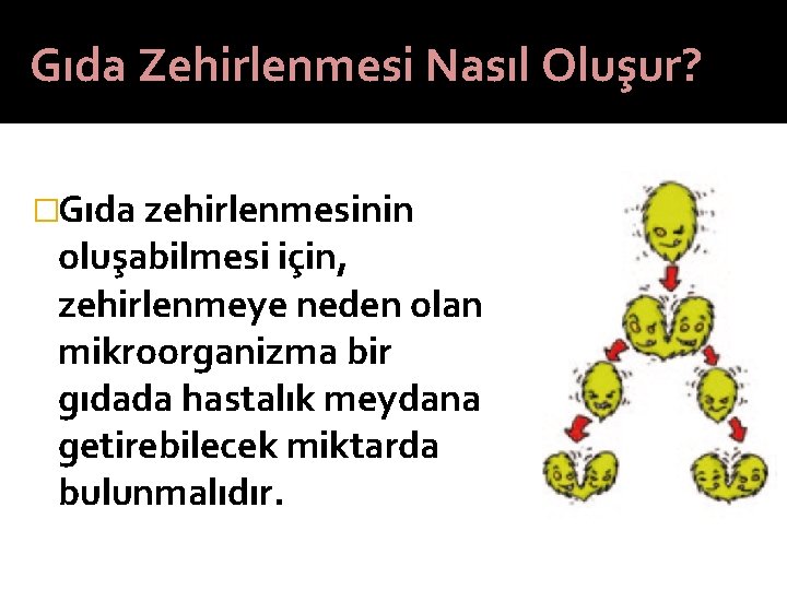 Gıda Zehirlenmesi Nasıl Oluşur? �Gıda zehirlenmesinin oluşabilmesi için, zehirlenmeye neden olan mikroorganizma bir gıdada