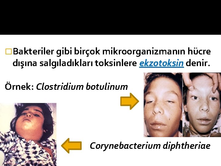 �Bakteriler gibi birçok mikroorganizmanın hücre dışına salgıladıkları toksinlere ekzotoksin denir. Örnek: Clostridium botulinum Corynebacterium