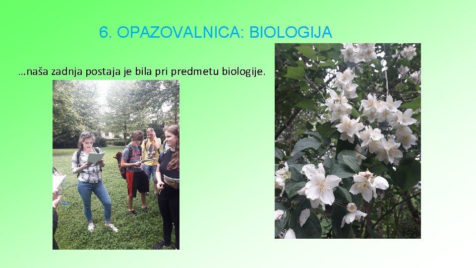 6. OPAZOVALNICA: BIOLOGIJA …naša zadnja postaja je bila pri predmetu biologije. 