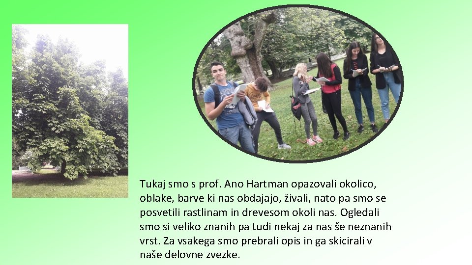 Tukaj smo s prof. Ano Hartman opazovali okolico, oblake, barve ki nas obdajajo, živali,