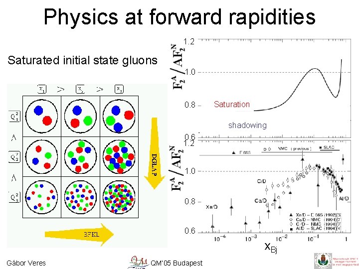 Physics at forward rapidities 1. 2 Saturated initial state gluons 1. 0 0. 8