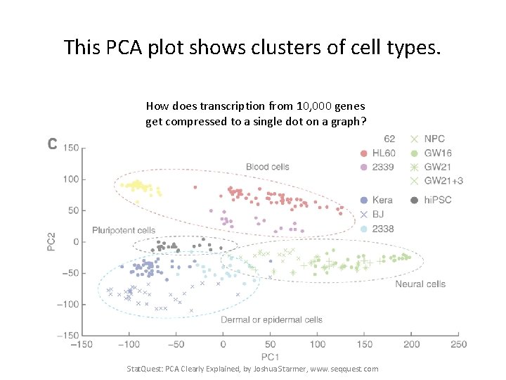 This PCA plot shows clusters of cell types. How does transcription from 10, 000