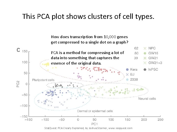 This PCA plot shows clusters of cell types. How does transcription from 10, 000