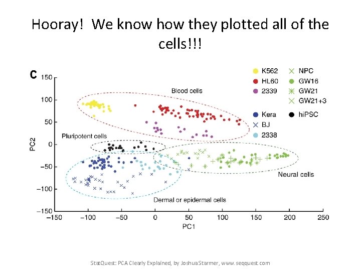 Hooray! We know how they plotted all of the cells!!! Stat. Quest: PCA Clearly