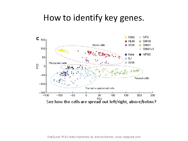 How to identify key genes. See how the cells are spread out left/right, above/below?