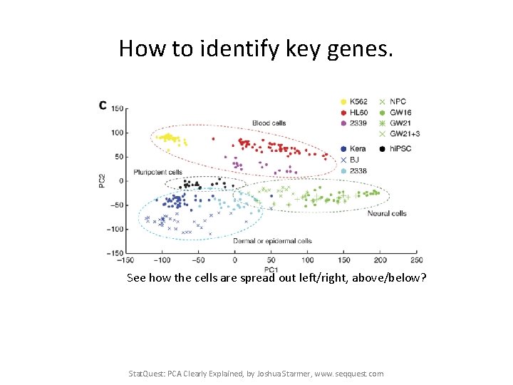 How to identify key genes. See how the cells are spread out left/right, above/below?