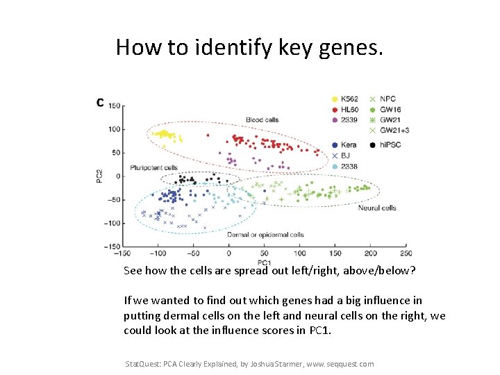 How to identify key genes. See how the cells are spread out left/right, above/below?