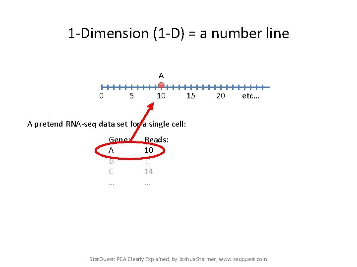 1 -Dimension (1 -D) = a number line A 0 5 10 15 20