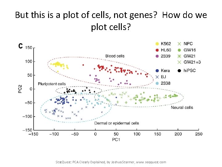 But this is a plot of cells, not genes? How do we plot cells?