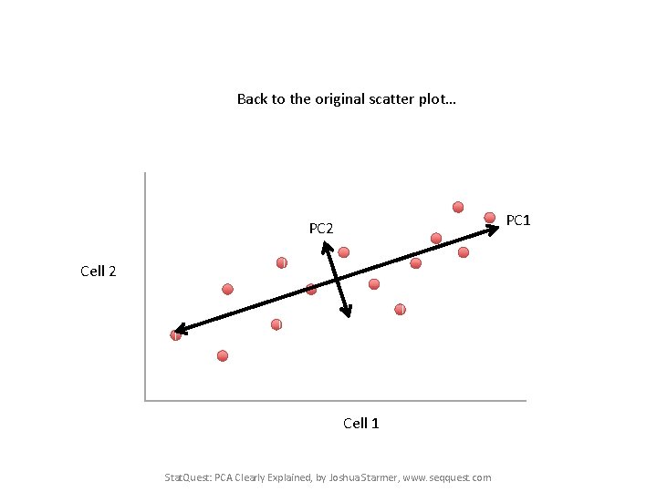 Back to the original scatter plot… PC 1 PC 2 Cell 1 Stat. Quest: