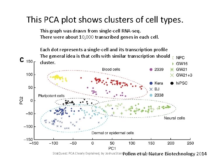 This PCA plot shows clusters of cell types. This graph was drawn from single-cell