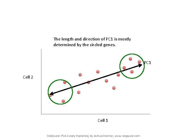 The length and direction of PC 1 is mostly determined by the circled genes.