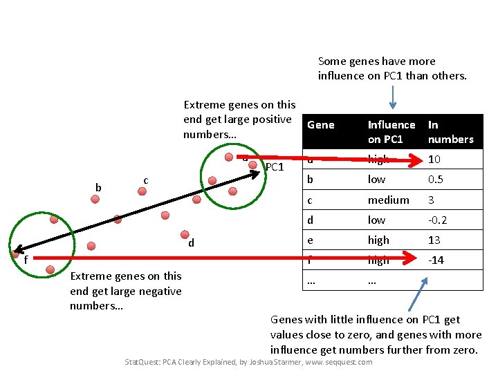 Some genes have more influence on PC 1 than others. Extreme genes on this
