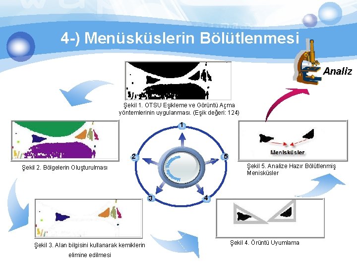 4 -) Menüsküslerin Bölütlenmesi Analiz Şekil 1. OTSU Eşikleme ve Görüntü Açma yöntemlerinin uygulanması.