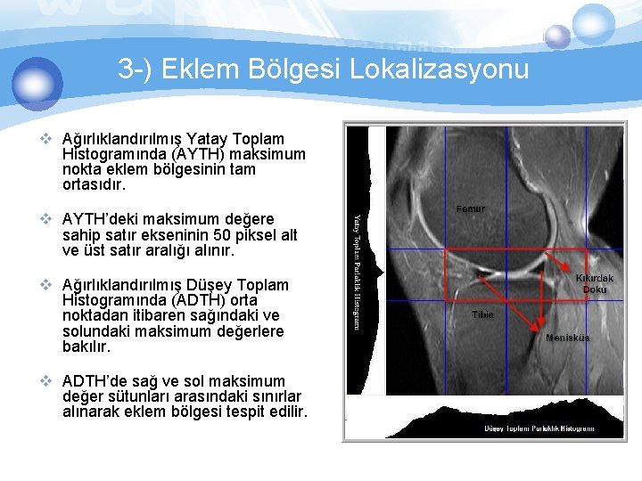 3 -) Eklem Bölgesi Lokalizasyonu v Ağırlıklandırılmış Yatay Toplam Histogramında (AYTH) maksimum nokta eklem