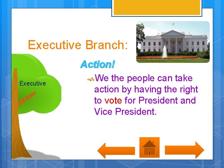 Executive Branch: Action! Executive We the people can take action by having the right