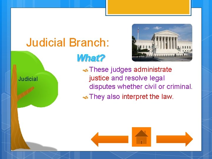 Judicial Branch: What? These judges administrate Judicial justice and resolve legal disputes whether civil